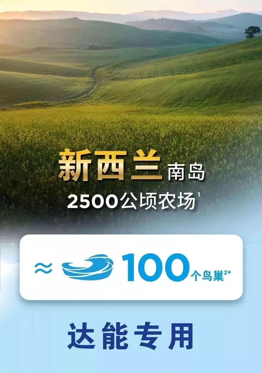 隔壁澳洲上演了被人潮包围的一幕，而这一切和新西兰也息息相关