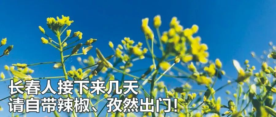 2018年延边州事业单位,2023延边州事业单位报名人数