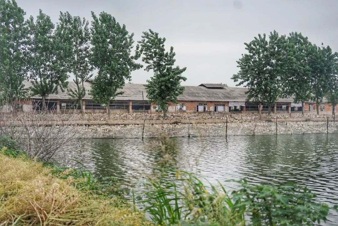 五月种草长沙,五月种草