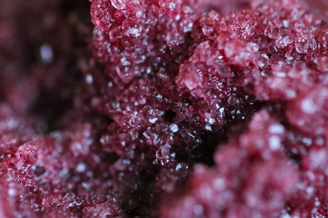 五月种草长沙,五月种草