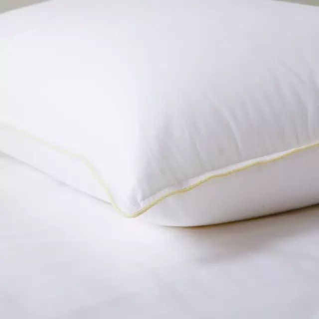 丹麦皇室用什么枕头好 (丹麦最好用的枕头)