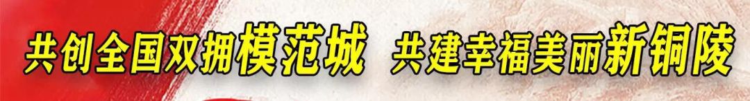 铜官区小学分布图,2019年铜官山初中学区划分