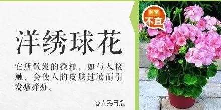 误食毒物最有效的急救方法,紧急提醒最新中毒案例