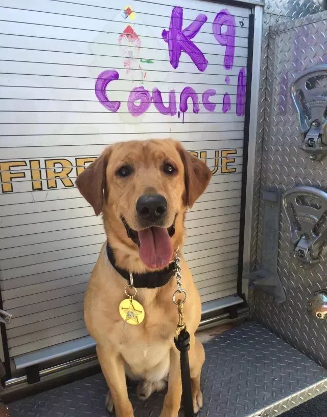 闻毒品气味算吸毒吗,缉毒犬闻毒