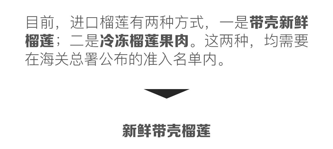 进口水果小百科系列｜你的“猫山王”是真的吗？