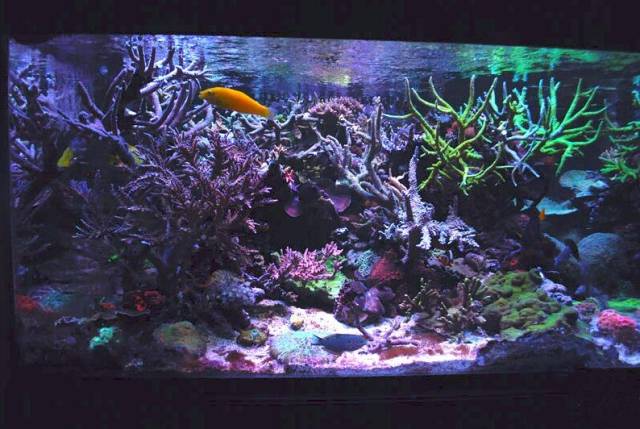 鉴定完毕就是好人吗,鉴定完毕就是亲生的没错了