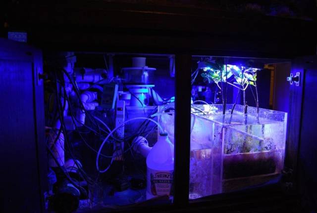 鉴定完毕就是好人吗,鉴定完毕就是亲生的没错了