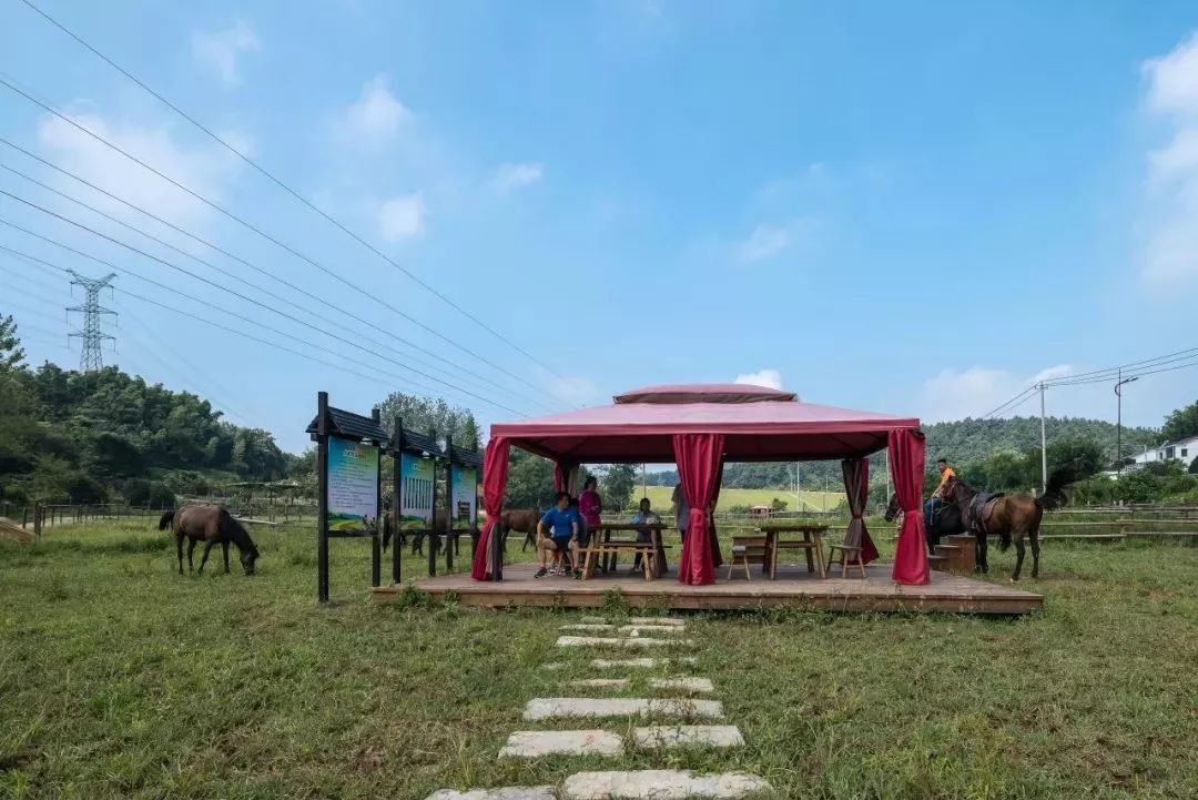 来呀！一起到江宁马场策马奔腾呀