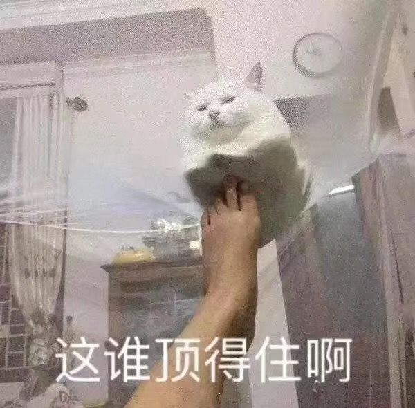 此雨绵绵有绝期，明日雨止，风力增大