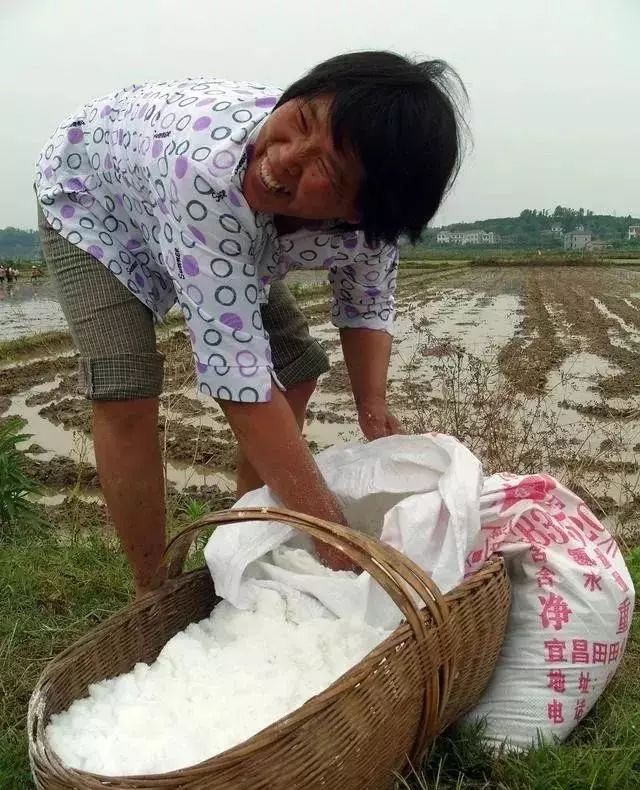 化肥识别知识,怎么分辨化肥是什么肥