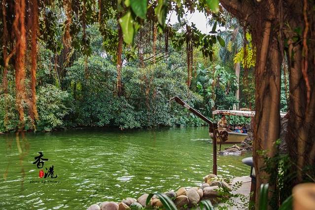 儿时tvb电视剧,香港电视剧小时候的回忆