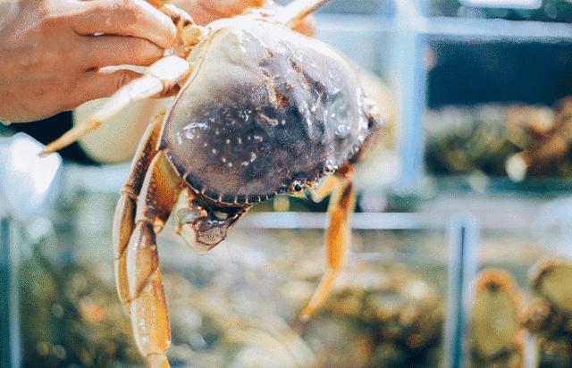 玩转三亚最实用的攻略在这里,三亚休闲之旅吃喝玩乐全攻略