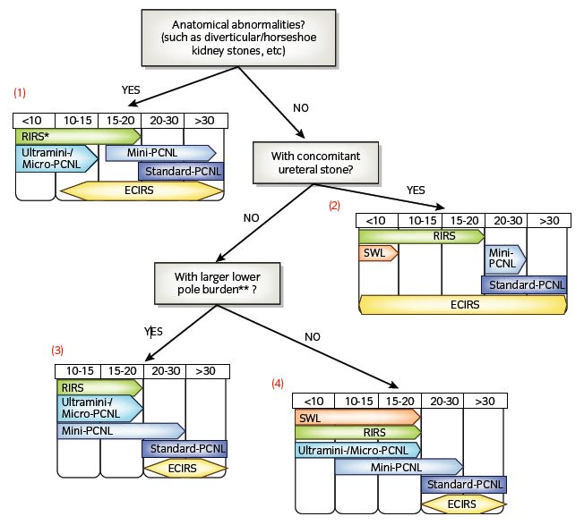 泌尿系结石指南2019,最新泌尿结石处理方案