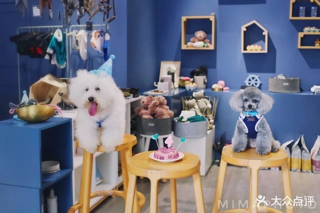 2022年商业零售板块深度分析,商业趋势及成功案例