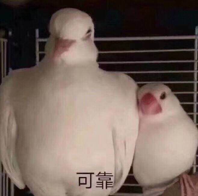 大s年轻的时候有多叛逆,大s看起来很年轻