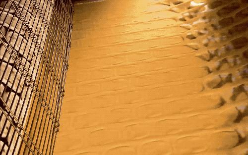 乐事薯片不碎吗,品客薯片和乐事薯片哪个好吃