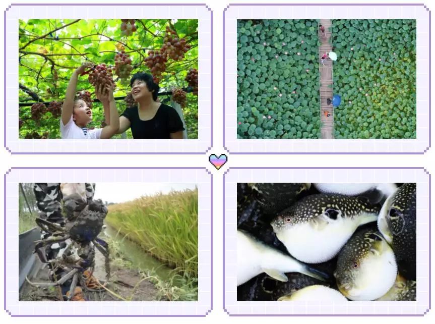 唐山景区排名前十名,唐山景区最新公示