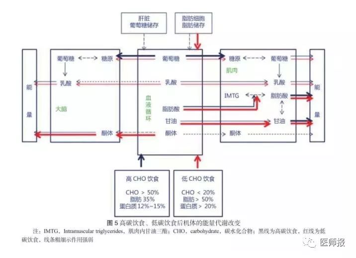 预防心血管代谢疾病生活指南,低碳饮食治疗很多代谢病