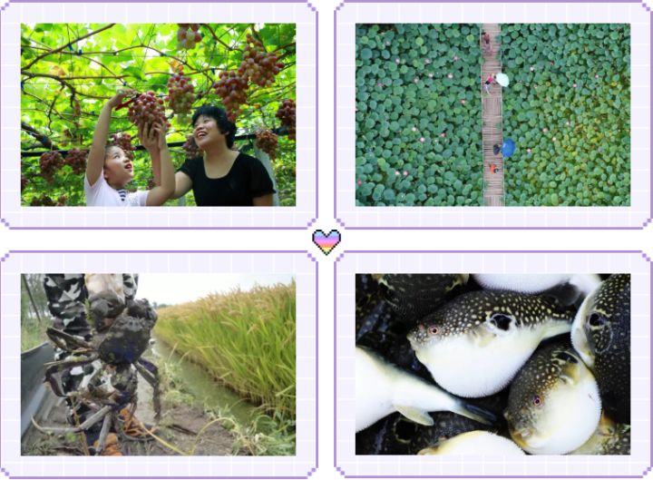 曹妃甸度假旅游亮相,曹妃甸2019旅游项目