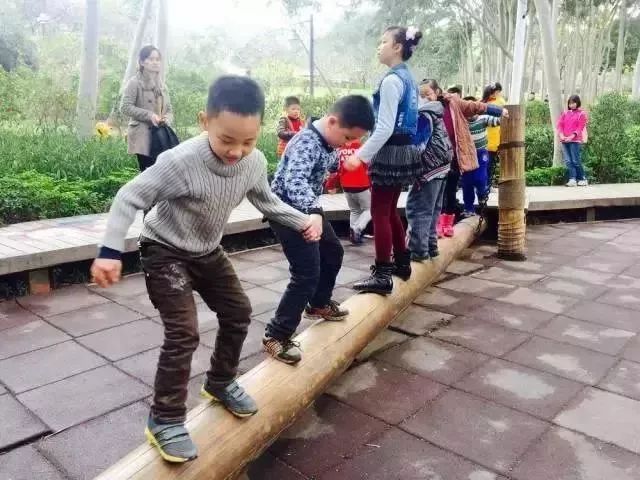 厦门推荐带娃好玩的地方,厦门溜娃免费景点