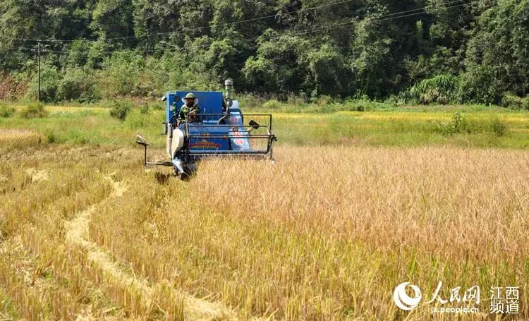 聚焦落实两件大事,聚焦贯彻落实党的二十大精神