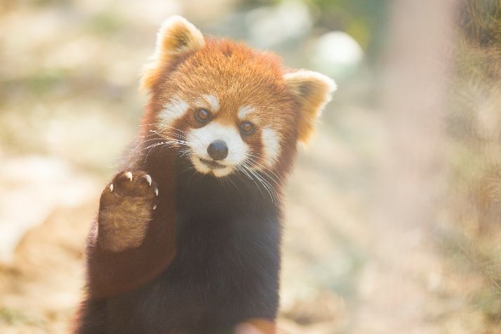 六一青岛景点,嗨翻六一儿童节