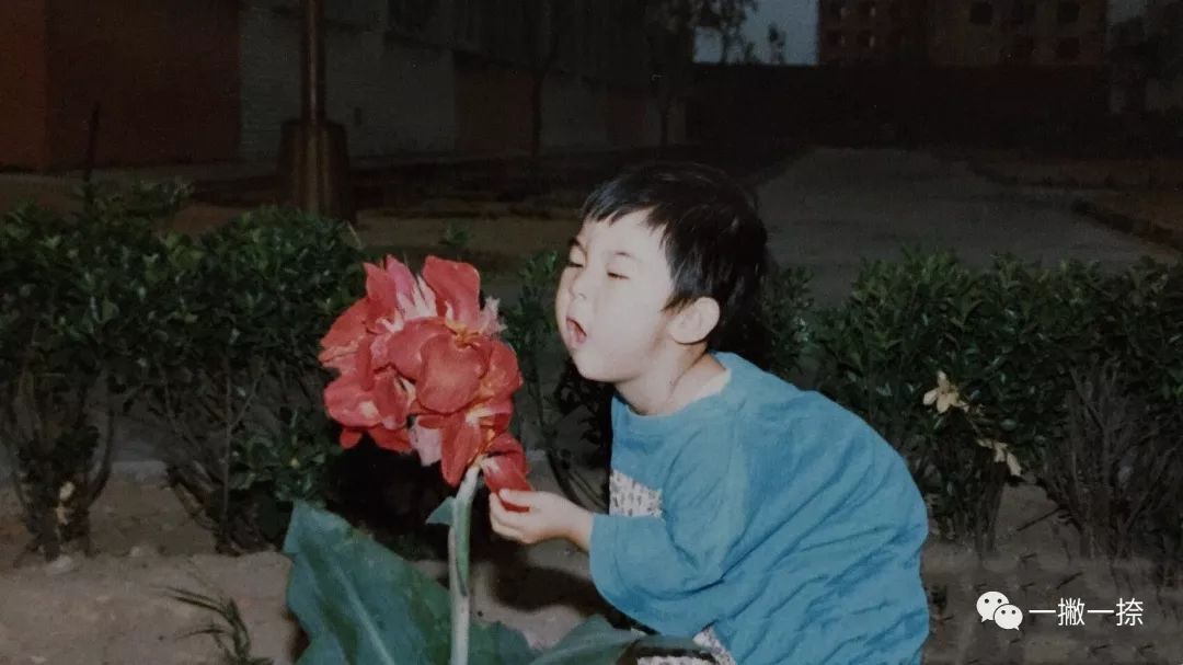 “别真替他保密，他就是想让你替他说”——24条对童年的隔空喊话