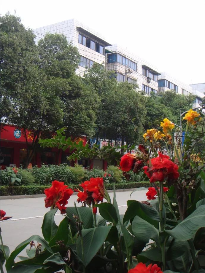 盛世英超欧冠欧联,盛世英超欧战