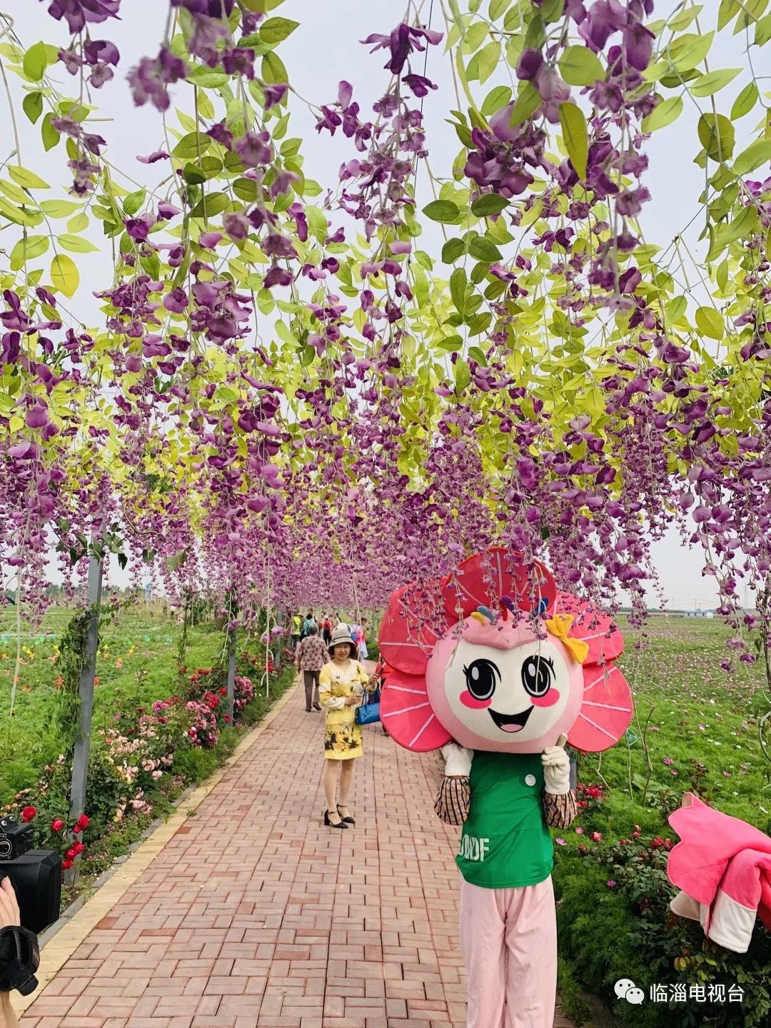 临淄花海公园在哪里,淄博临淄花海攻略