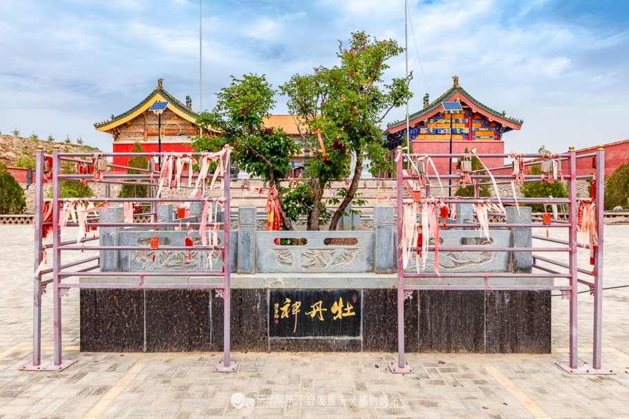 他让高寒干旱地开满牡丹花，打造西北牡丹第一园