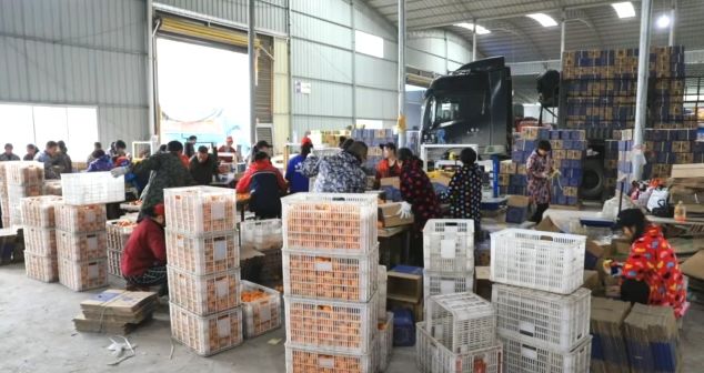 网红一天卖货300万能赚多少钱,网红卖货那么便宜怎么赚钱