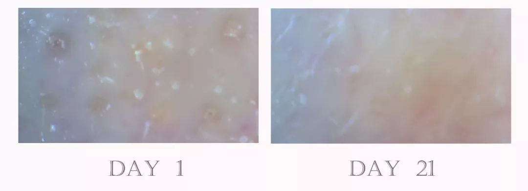 21天测试,21天测评