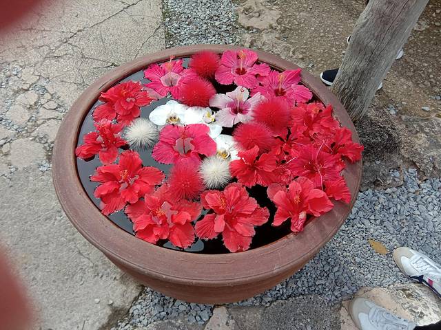 冲绳岛上的人间仙境,冲绳城市