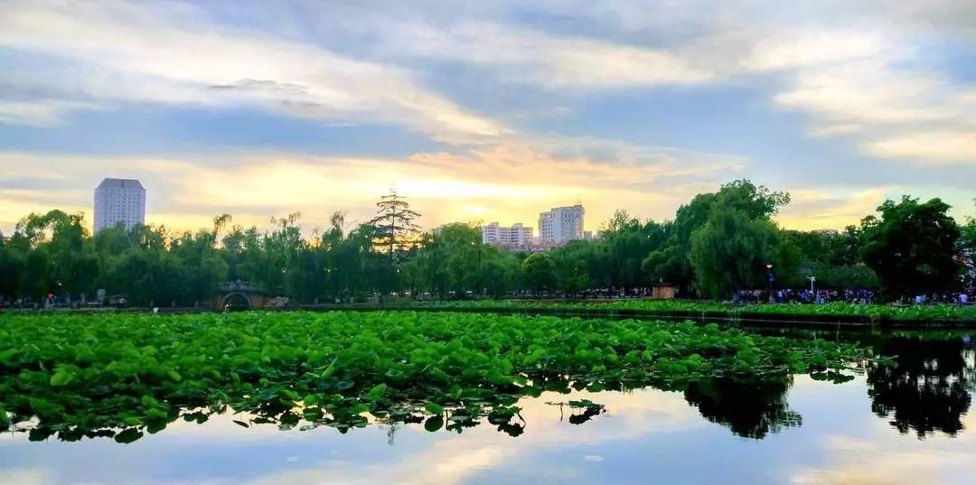 城味|翠湖：蕴含文化的“眼睛”更灵动