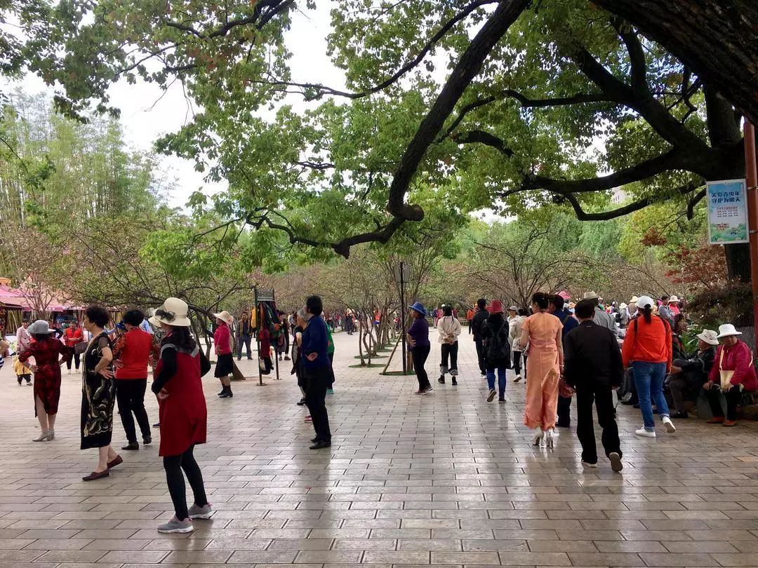 城味|翠湖：蕴含文化的“眼睛”更灵动