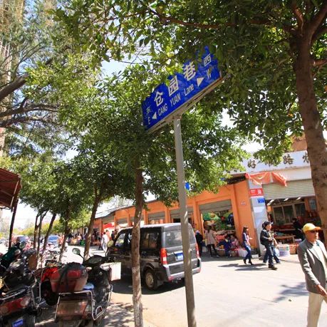 城味|翠湖：蕴含文化的“眼睛”更灵动