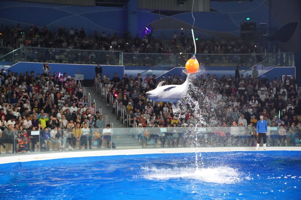 日照直播,日照有什么好玩的地方