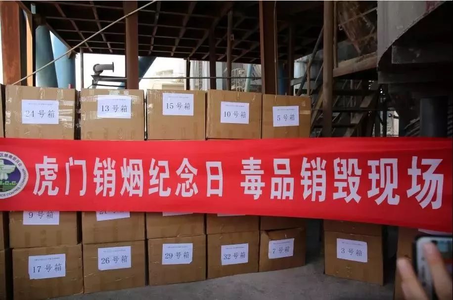 鸿雁知天下视频,新闻早知道鸿雁知天下