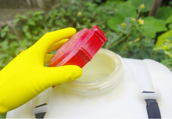 有5种农药被禁用,4种农药被禁用