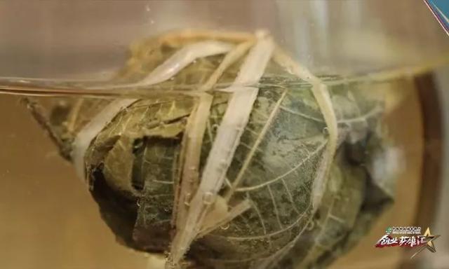 退伍军人结缘鹧鸪茶,打造舌尖上的海南岛,年销售额达1000万元