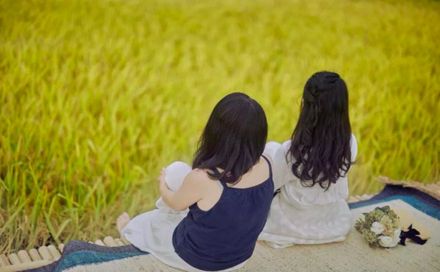 7个闺蜜在稻田里爆改了个“玻璃盒子”，只为兑现养老之约，却意外走红