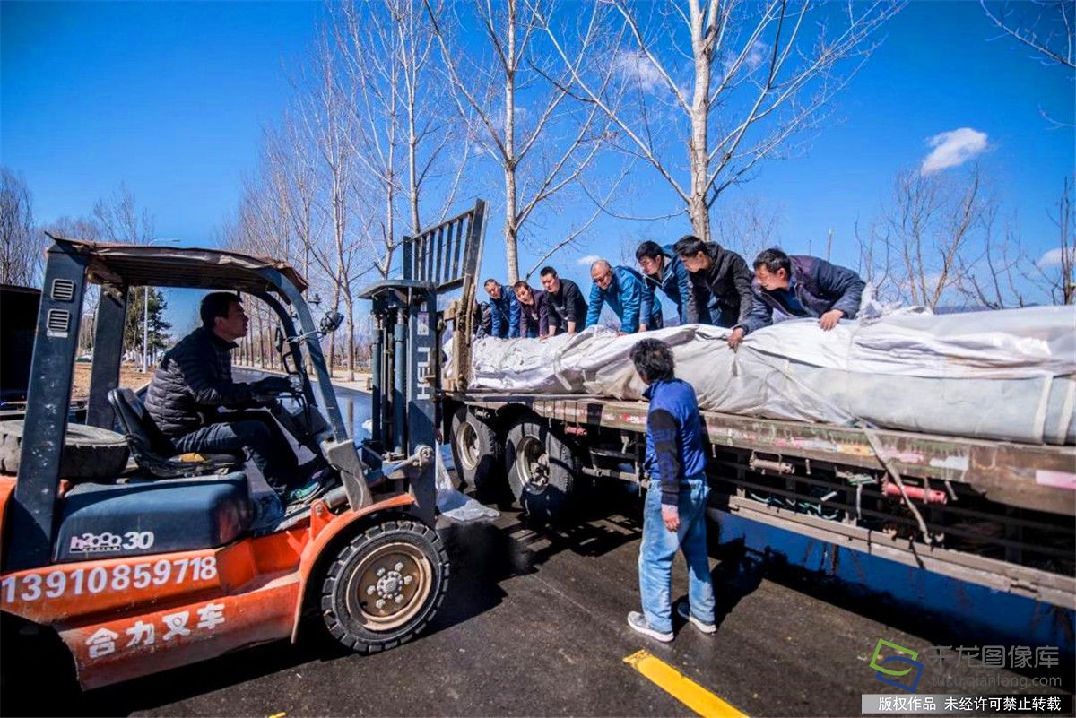 鏈嶅姟淇濋殰閲嶅ぇ娲诲姩,鏈嶅姟淇濋殰澶у瀷娲诲姩