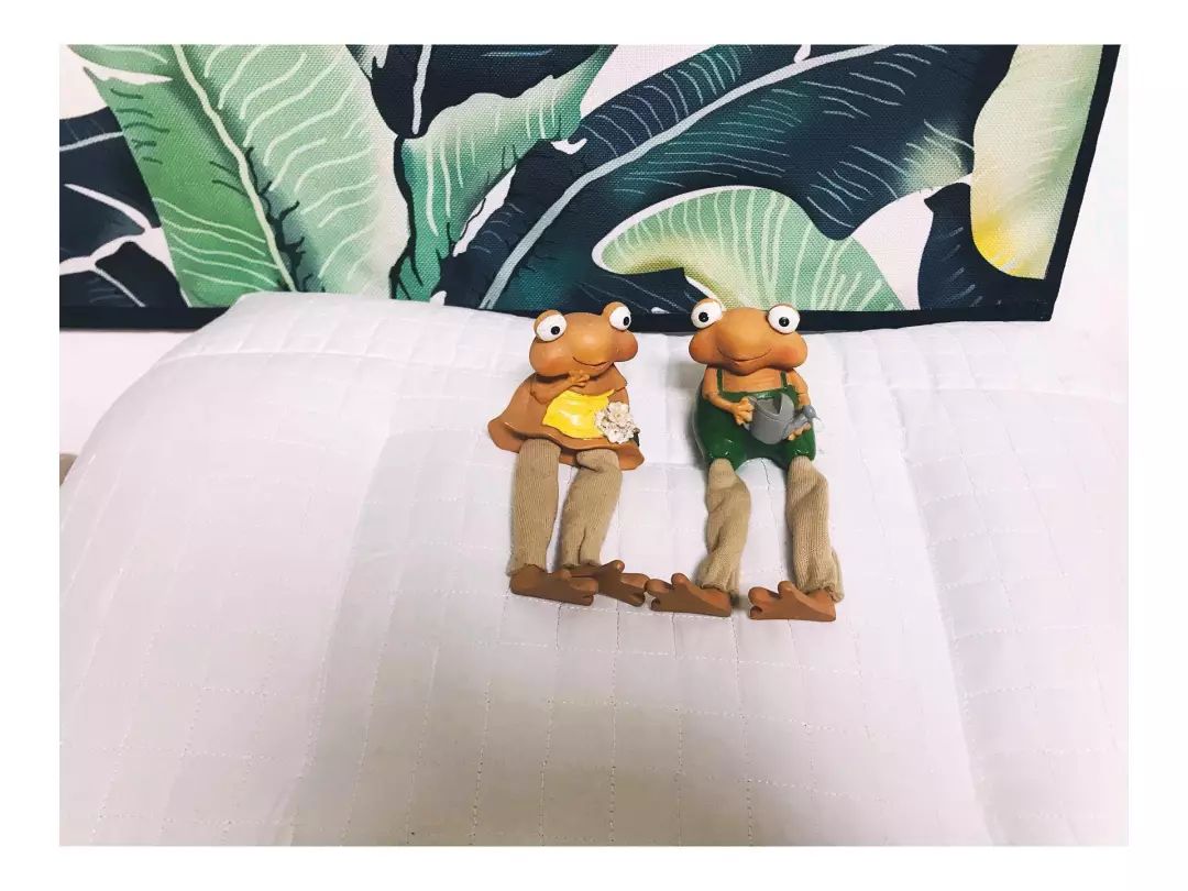 产品测评|关于荞麦枕，用过的人有话说