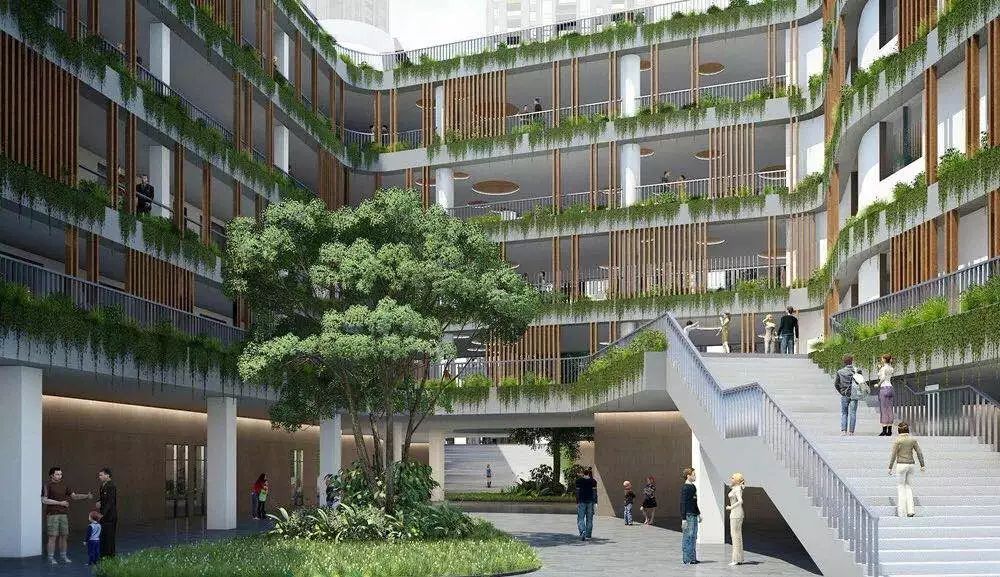 红星小学富康校区,红星小学富康校区是哪个学校