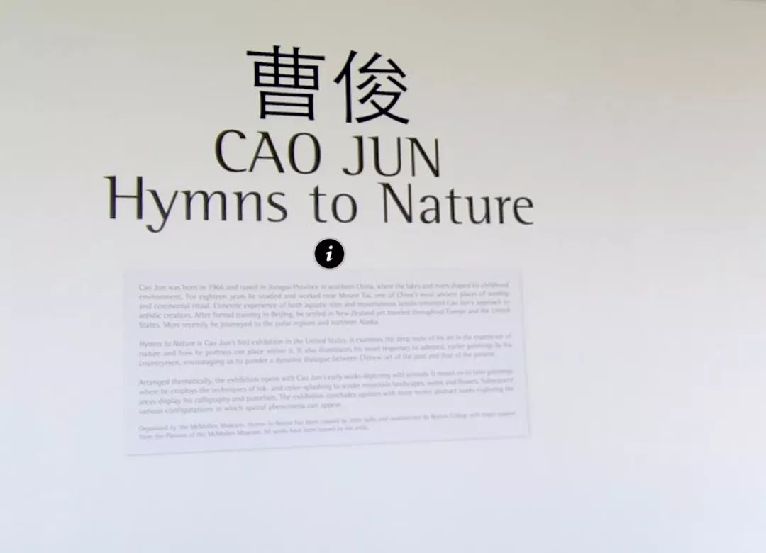 “大自然的赞美诗”曹俊3D个展|美国波士顿学院博物馆永久上线