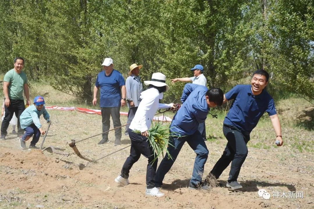 端午节你不知道的菜单,端午节必须做的三件事