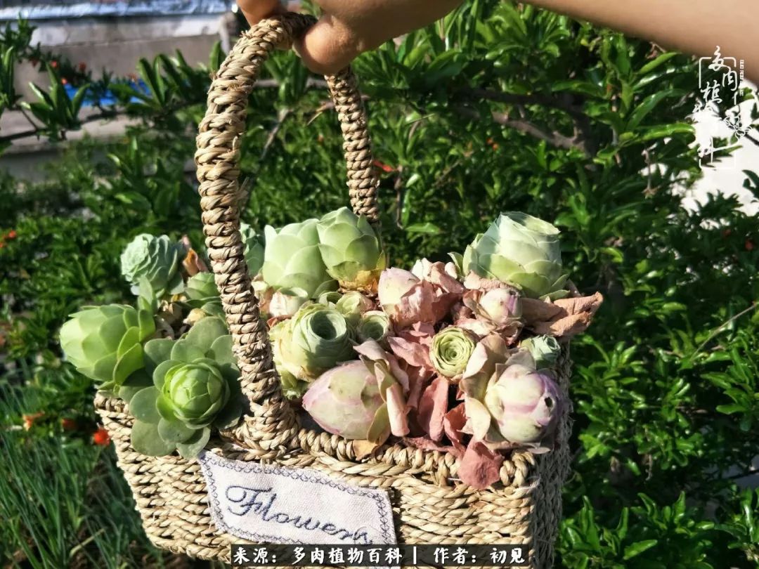 紧张的高三生活也需要适度的放松,紧张焦虑高考