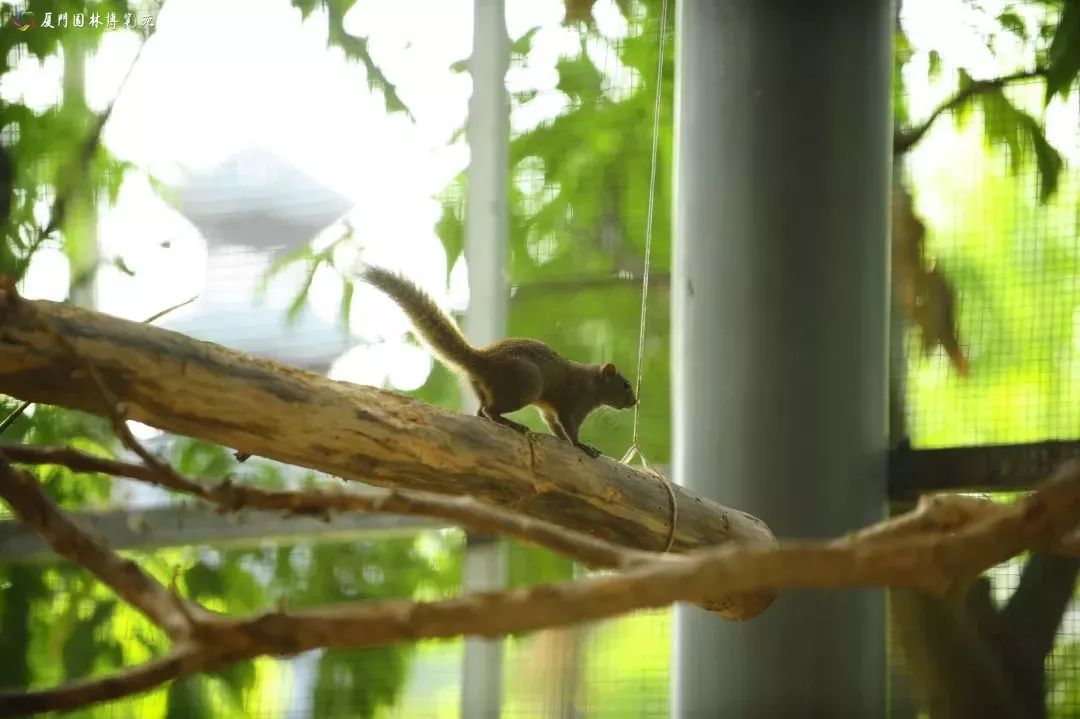 厦门适合带孩子去玩的地方推荐,厦门6月份哪里好玩