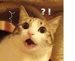 日本网红眼药水别再用了真的会瞎,日本网红眼药水禁售原因