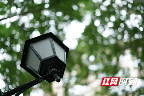 益阳的早餐有哪些,益阳哪的早餐营养干净